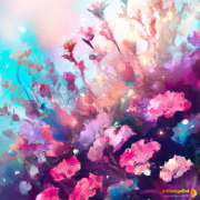 BOHO